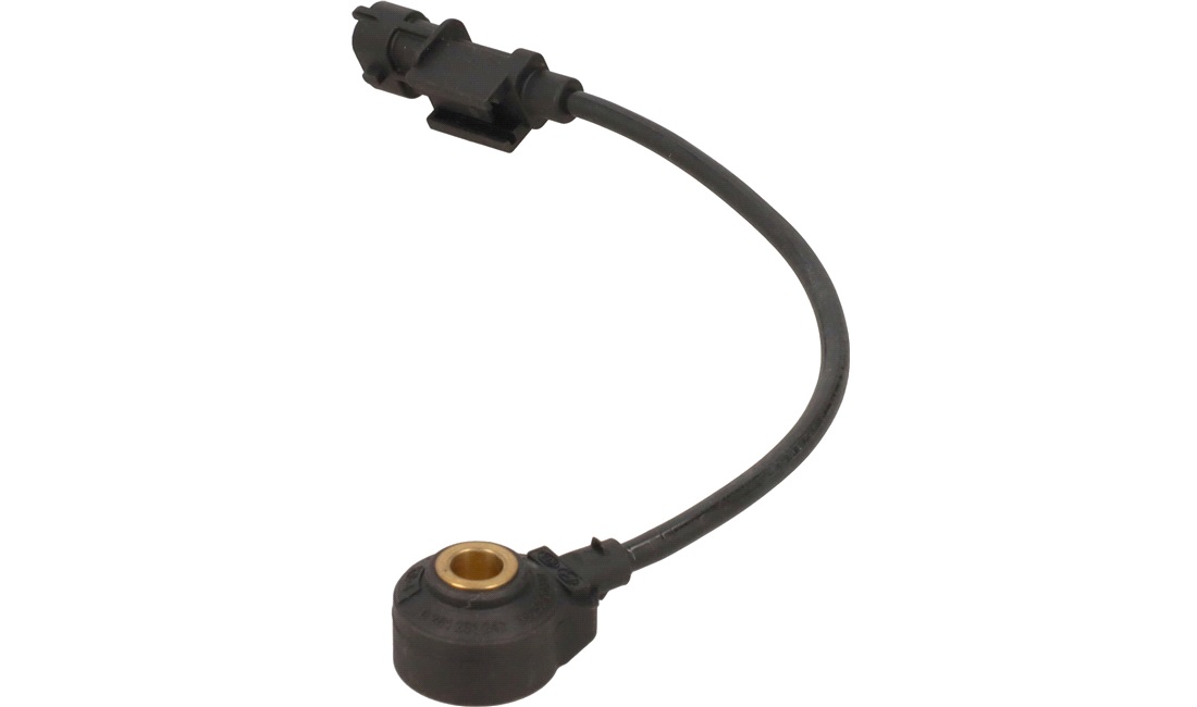 Bankesensor