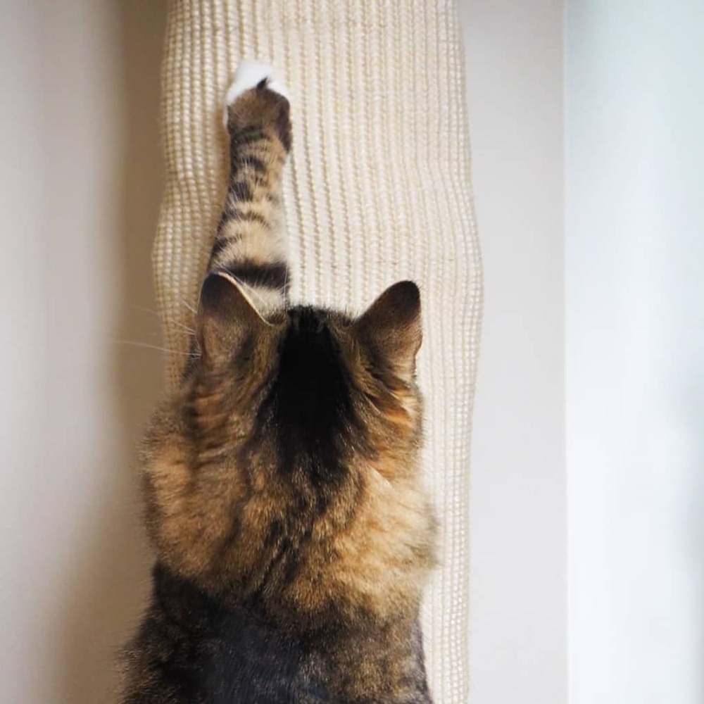 Sac d'escalade pour chat sisal 180 cm