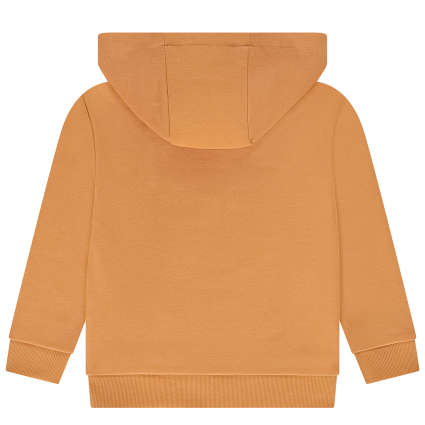 Sweat à capuche croisée et print pour garçon