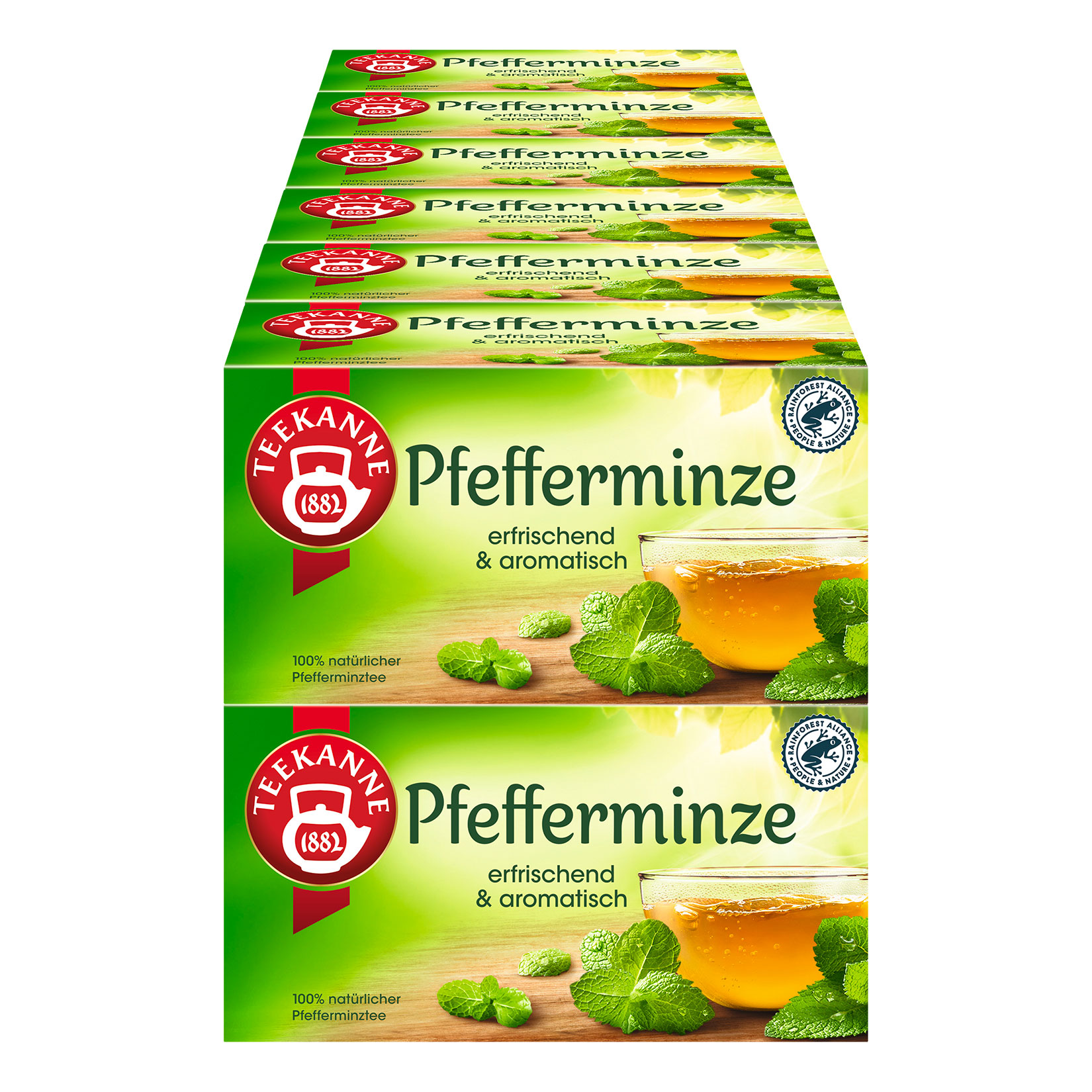 Teekanne Pfefferminze 45 g, 12er Pack