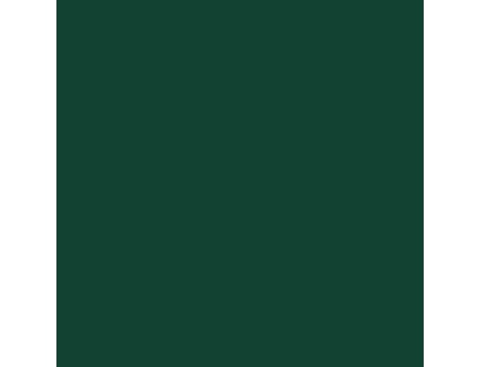 VIDAXL - Abri de jardin vert 277x93x179 cm acier galvanisé