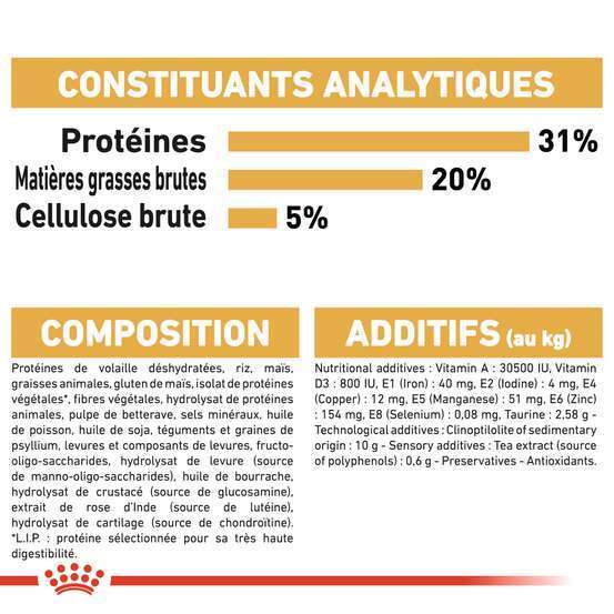 Croquettes chat Maine Coon Adulte à partir de 15 mois 4kg