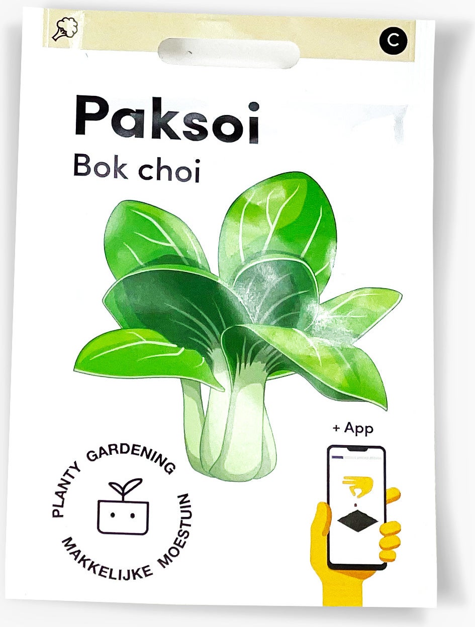 Makkelijke Moestuin groentezaad Paksoi (Brassica 'Green F1')