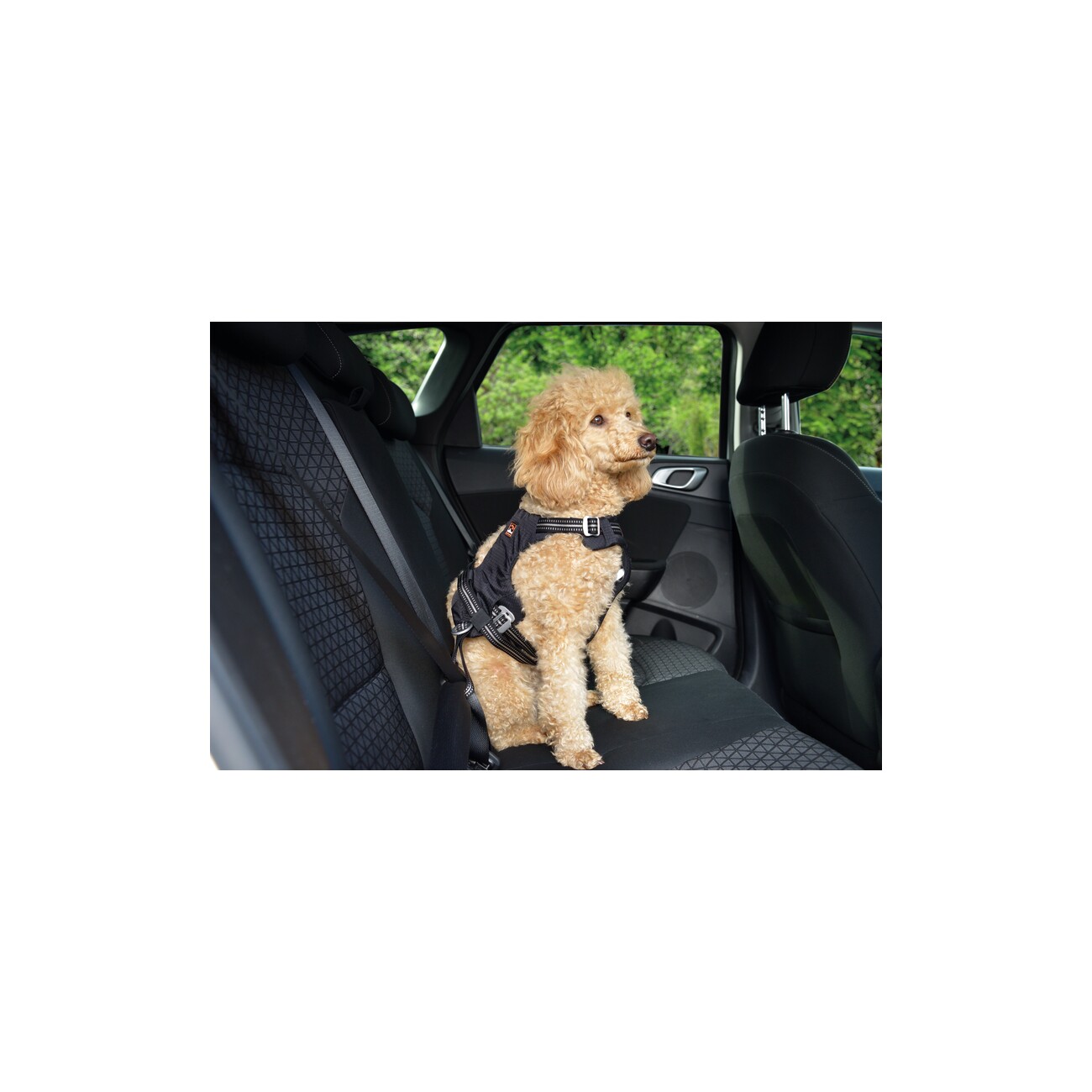 Dogs Creek Auto-Sicherheitsgeschirr Renegade S