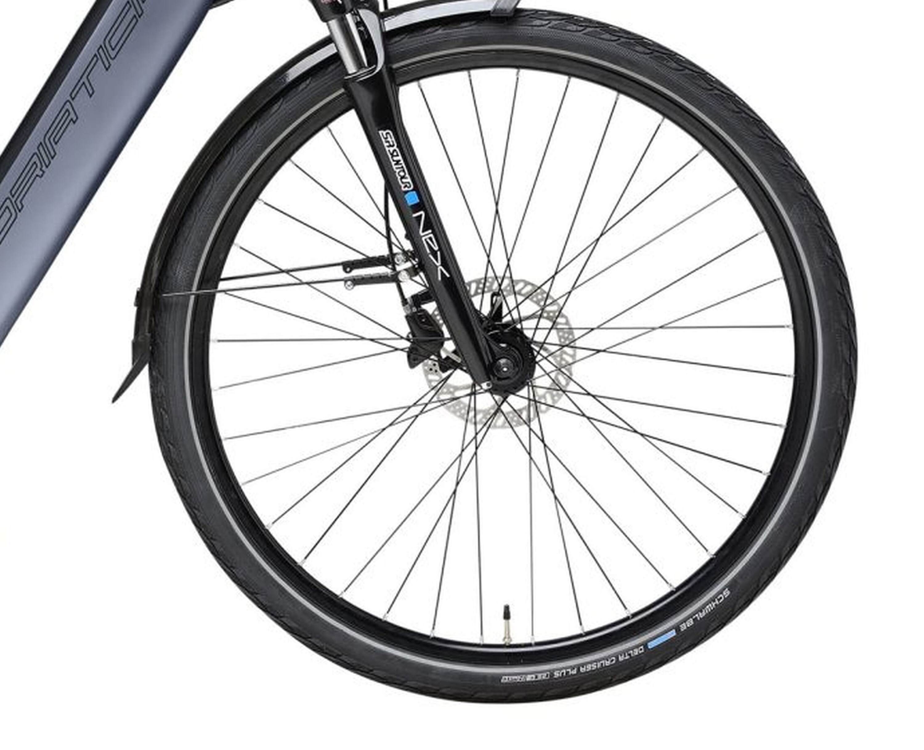 Adriatica Elektro-Trekkingbike 28 Zoll 3 KING MAN blau