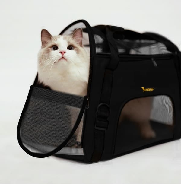 Transportbag for Kjæledyr / Reisebag - Katter, hunder, kaniner