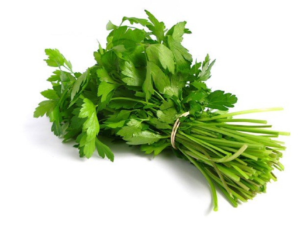 COENTROS FRESCOS KG PRODUTO LOCAL