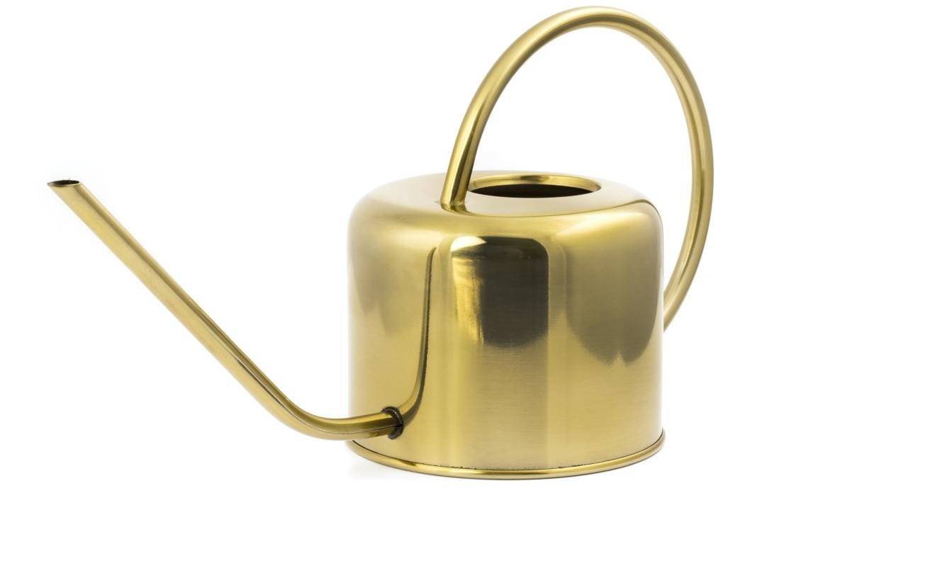 Giesskanne Vintage GoldGiesskanne aus Stahl