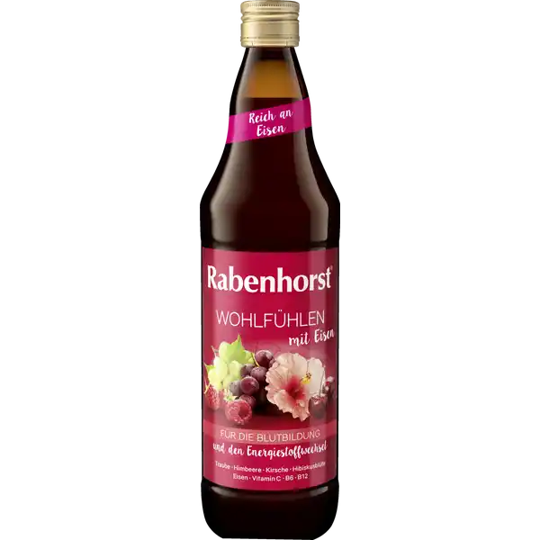 Wohlfühlen mit Eisen 700ml - Mehrfruchtsaft mit Eisen, Vitamin C, B6 und B12