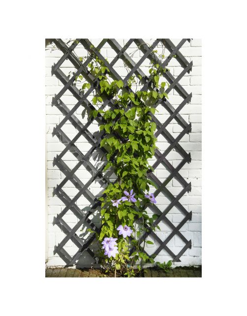 Nature Houten Klimrek - Klim-En Geleide Artikel - 50x150 cm Antraciet