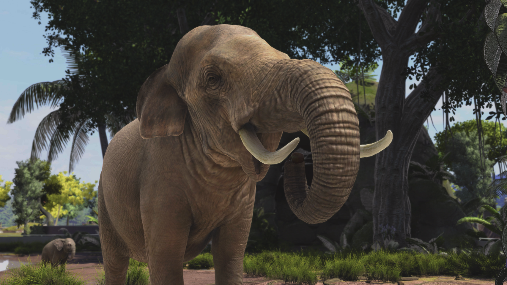 Zoo Tycoon: Ultimate Animal Collection- PC