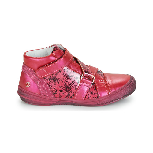 GBB - RADEGONDE - Rose