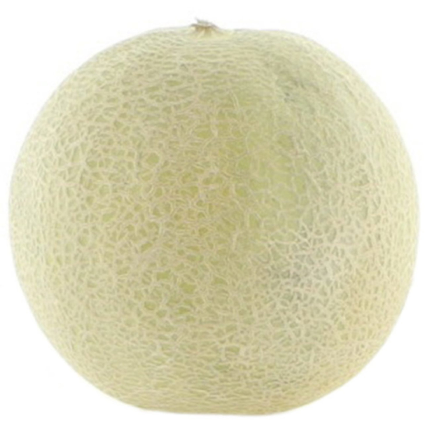 Melone Charentais 1 Stück -