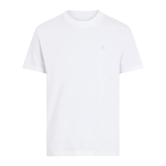 Calvin Klein Painted Backlogo Shirt Heren