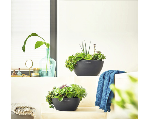 Cubeto Stone kunststof bloempot, 30x30x13 cm, zwart, inclusief zelfbewateringssysteem en waterniveau-indicator