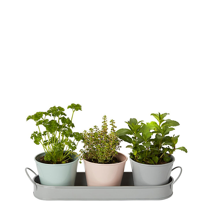 Lot de 3 pots en métal avec support 9cm