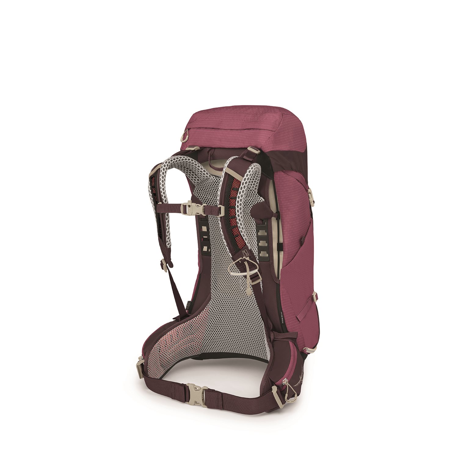 Osprey Sirrus 26 Backpack purple/chiru tan
