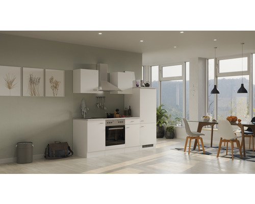Flex Well keukenblok met apparatuur Wito 220 cm wit mat gedemonteerd, omkeerbare uitvoering 00012361
