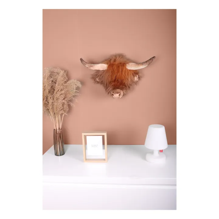 Wild & Soft Trophée Vache Ecosse