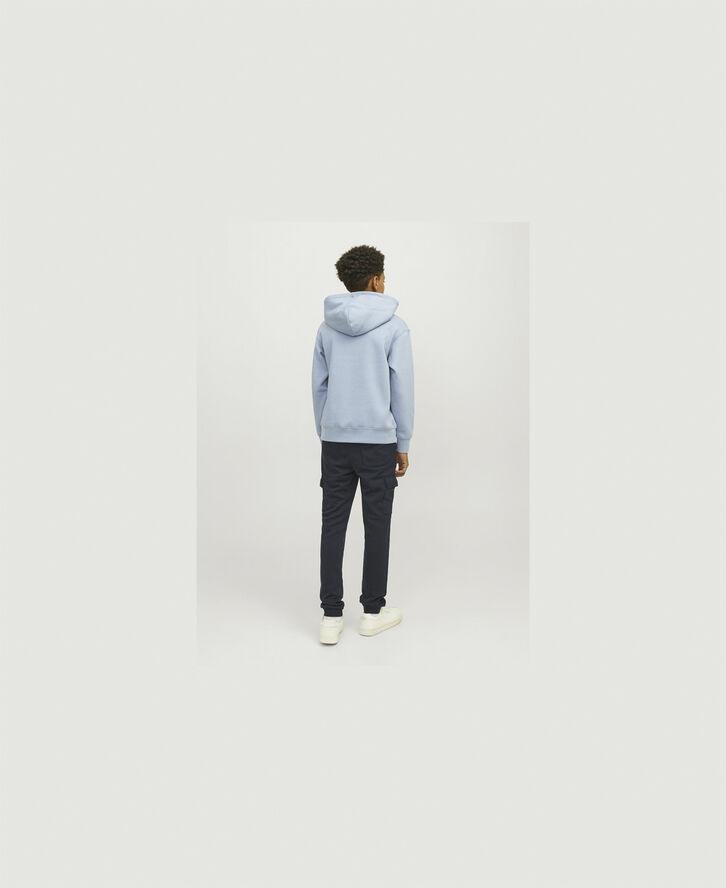 Jack & Jones JORVESTERBRO SWEAT HOOD NOOS JNR Mountain spring/loose
