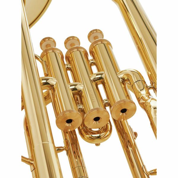 Yamaha YEP-201
