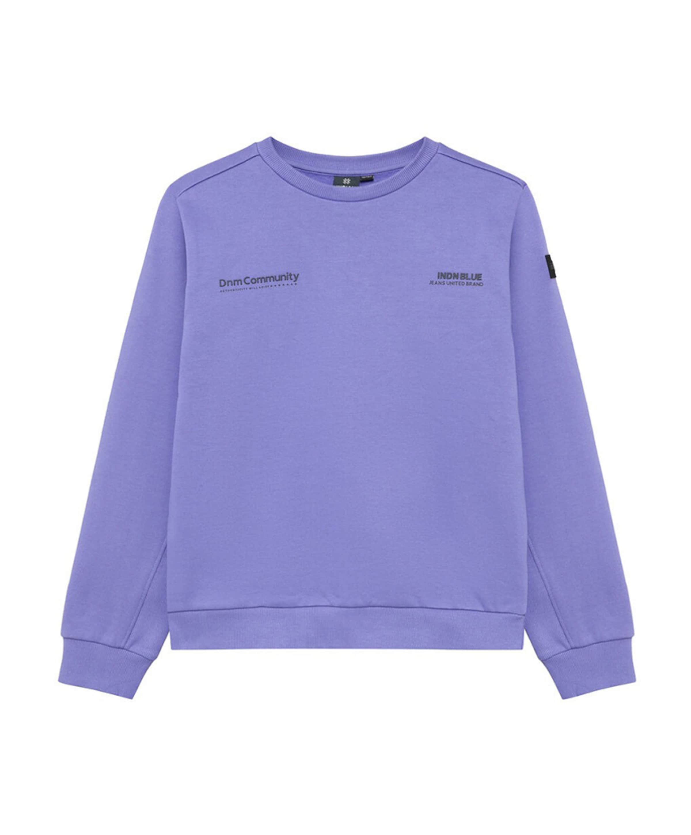 Indian Blue Jeans Jongens sweater paars