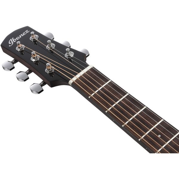 Ibanez AAM300CE-NT