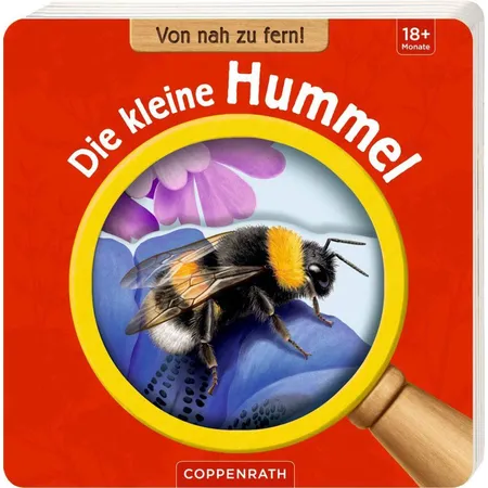 Coppenrath Verlag Von nah zu fern! Die kleine Hummel