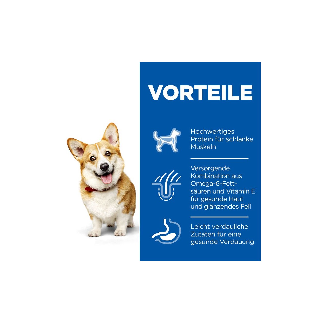 Hill's Science Plan Small & Miniature Adult 1-6 Hähnchen 6 kg
