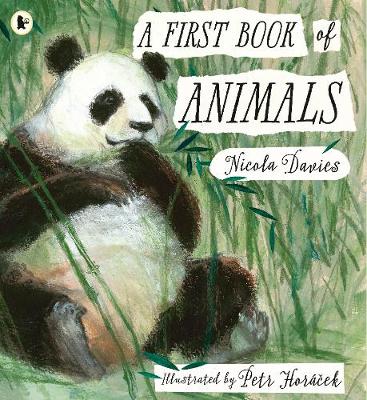 A First Book of Animals (Paperback)