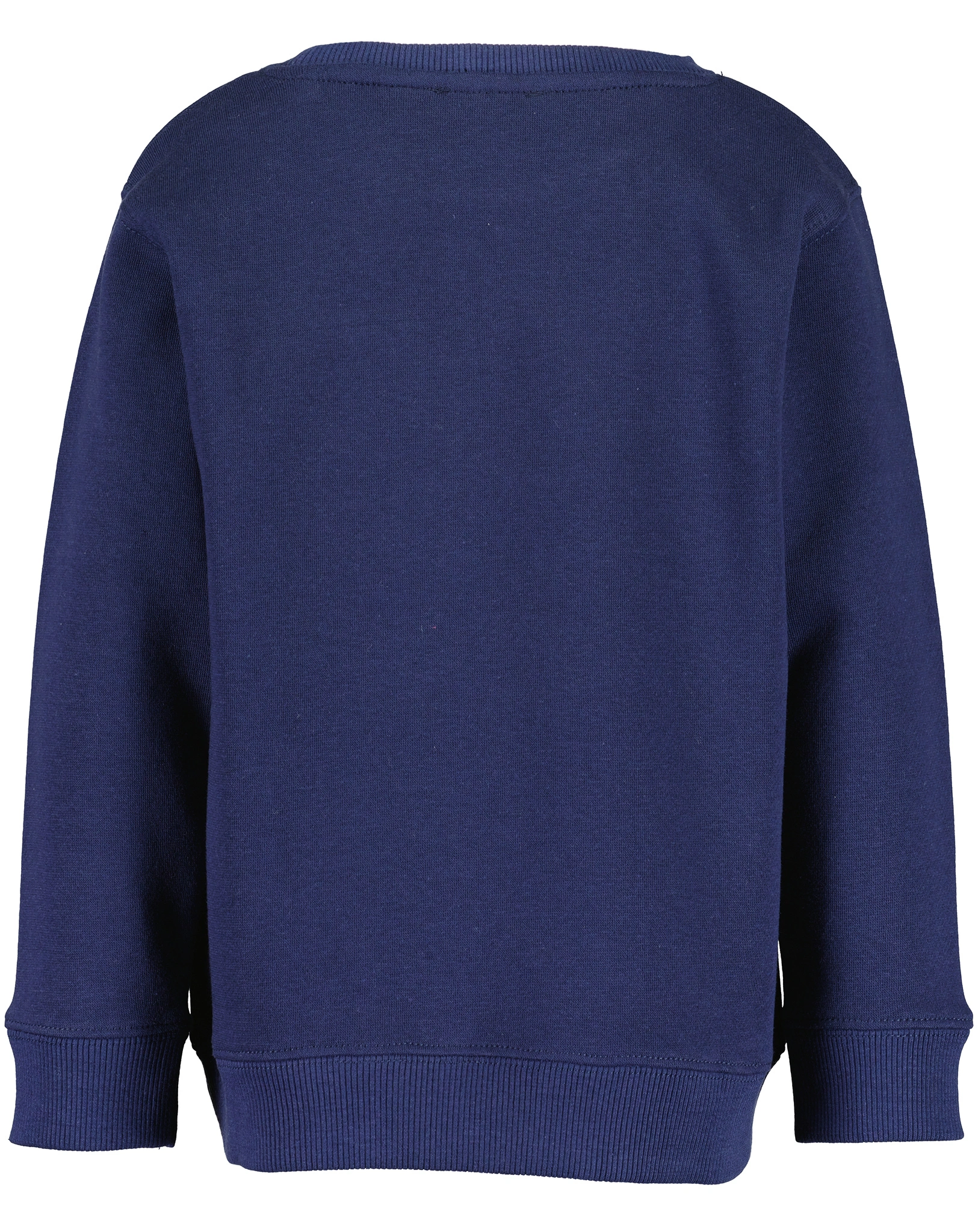 Sweatshirt DINOTASTIC in ultramarin