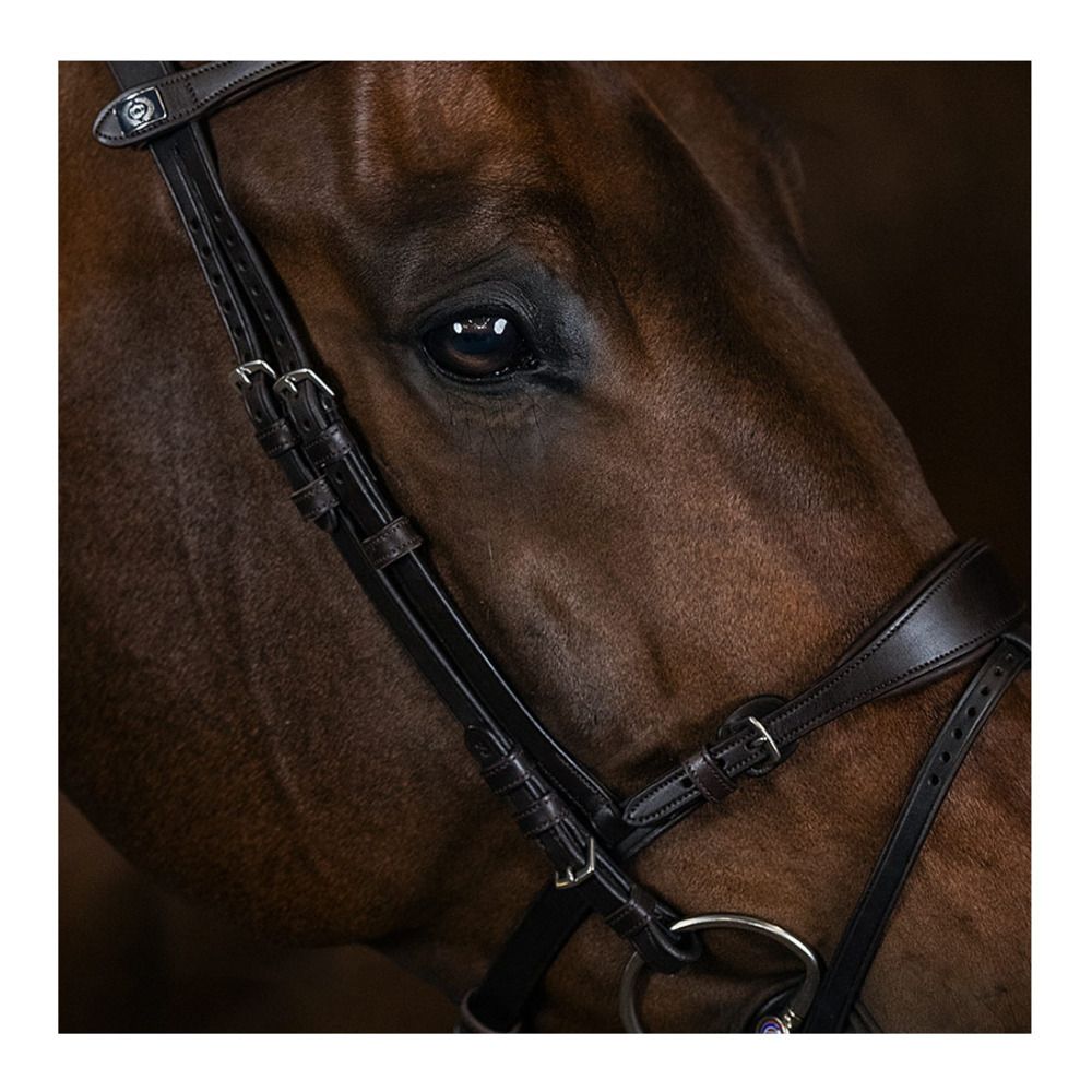 PS of Sweden MARY LOU - Bridon brown leather