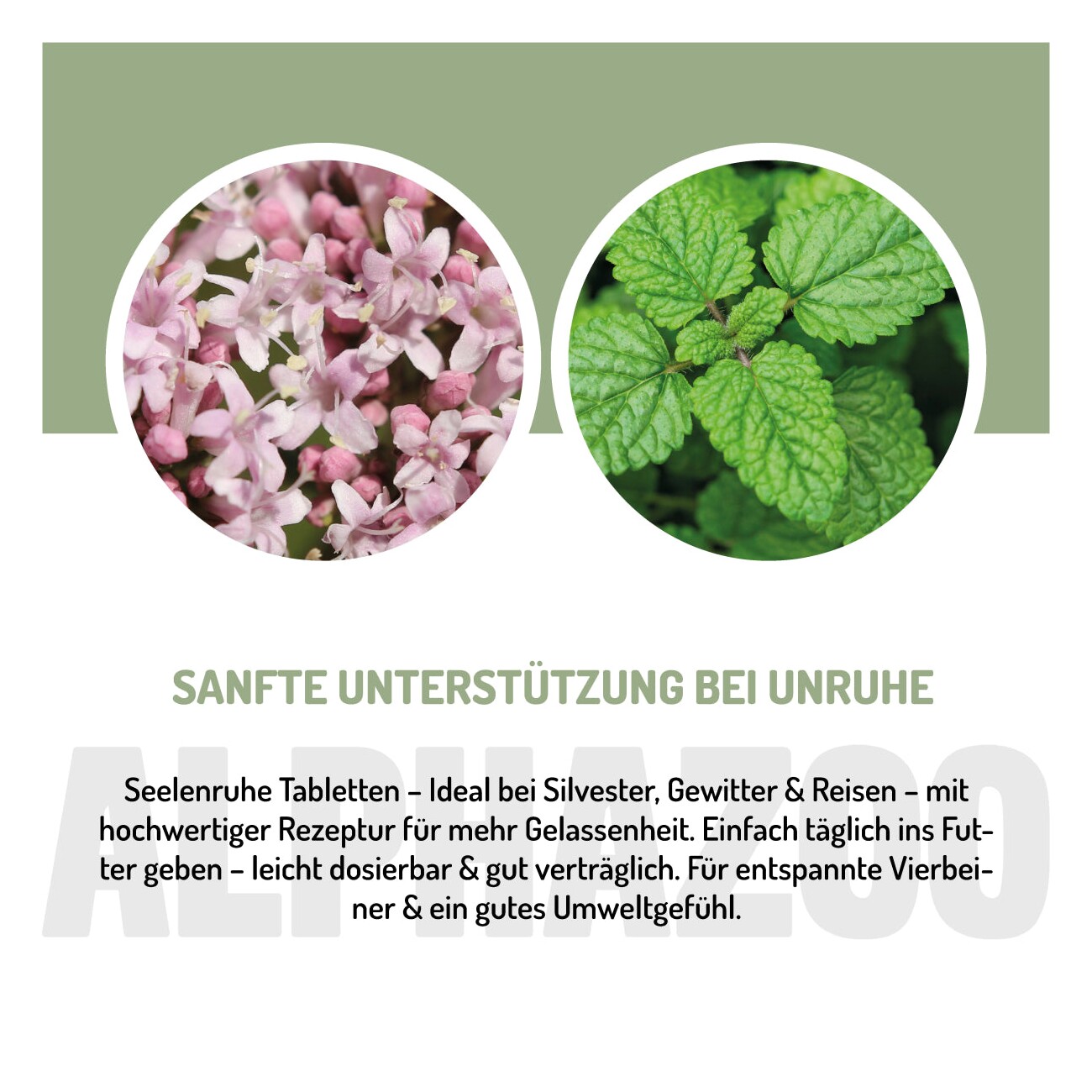 ALPHAZOO Seelenruhe Anti-Stress Tabletten für Hunde 75 g