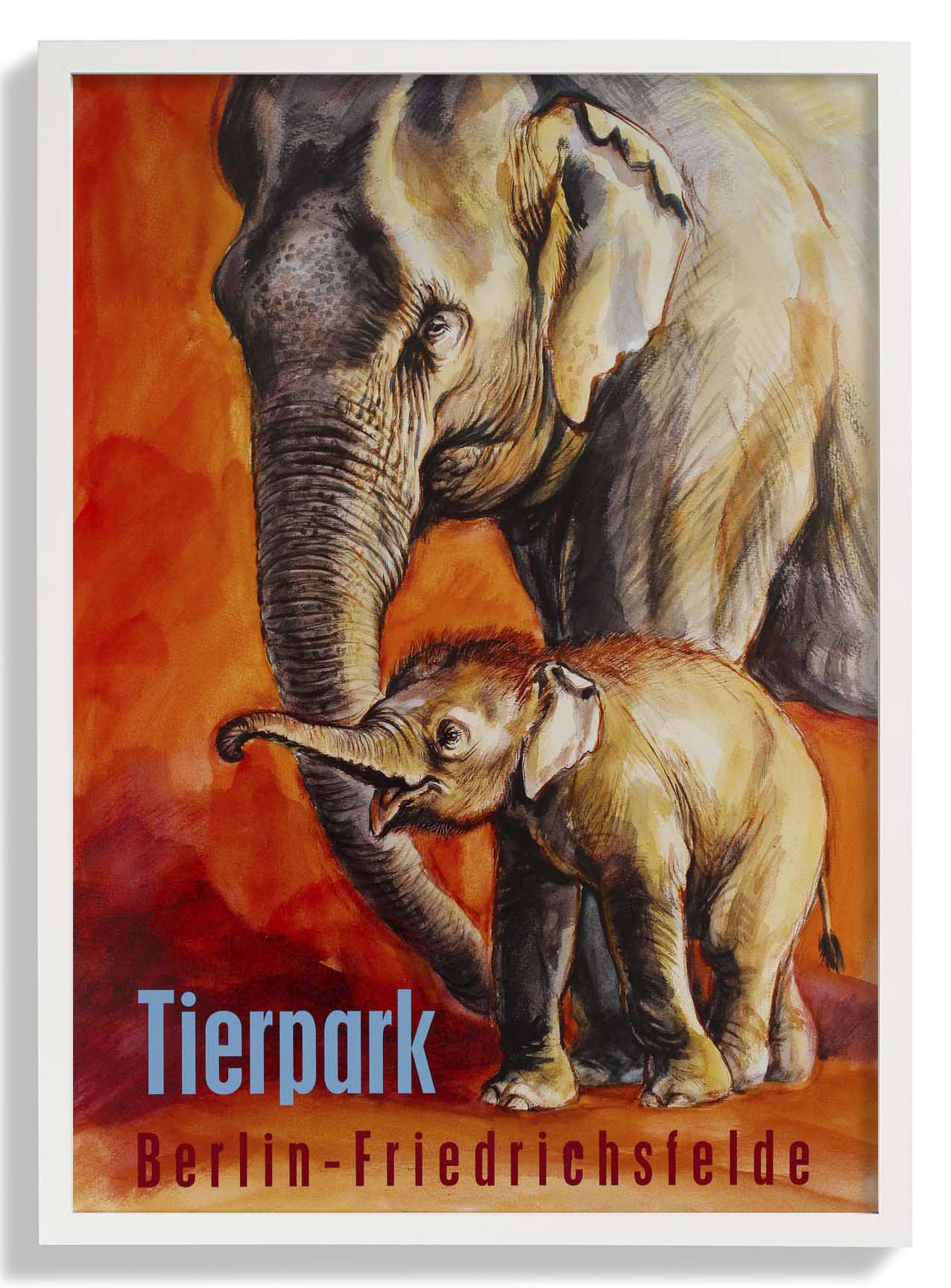 Zoo Tierpark Berlin Elefant