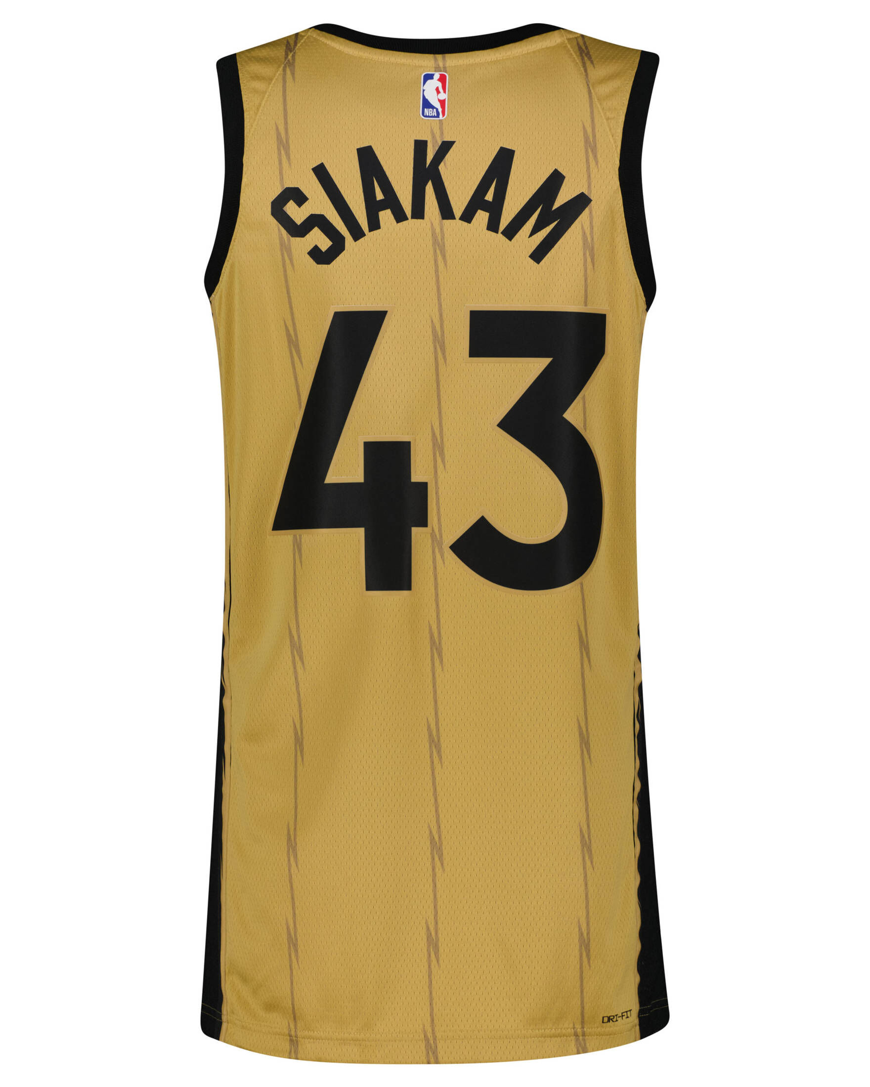 Nike| Herren Basketballtrikot NBA PASCAL SIAKAM TORONTO RAPTORS CITY EDITION