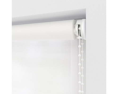 Soluna daglichtrolgordijn T19 transparant wit 60x190 cm