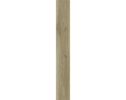 Laminaat 8.0 Sierra Oak Gold