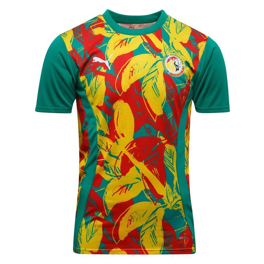 Sénégal T-shirt d'Entraînement Avant-Match Africa Cup of Nations 2025 - Vert/Faster Yellow/Rouge