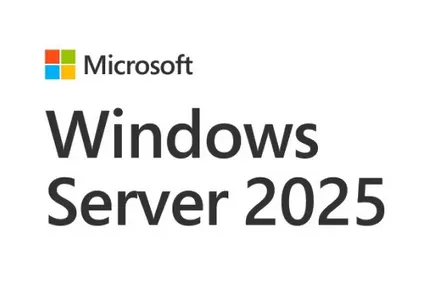 Microsoft Windows Server 2025 Standard - Licens - 5 brugere-CALs - OEM - Polish