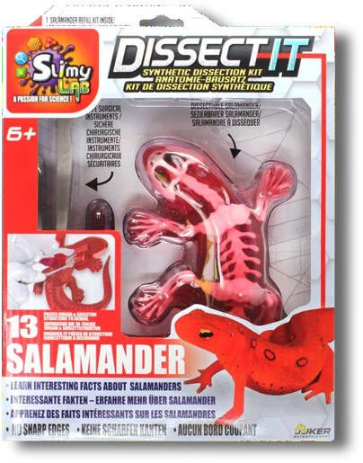DISSECT-IT - SALAMANDRE SLIME A DISSEQUER