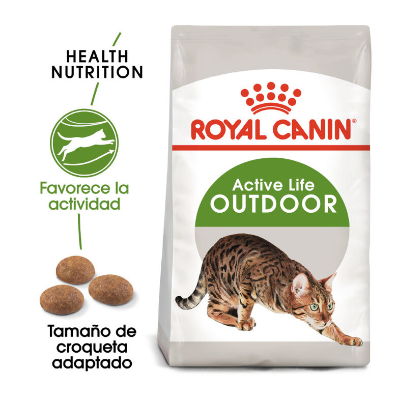 Ração Royal Canin Active Life Outdoor para gatos