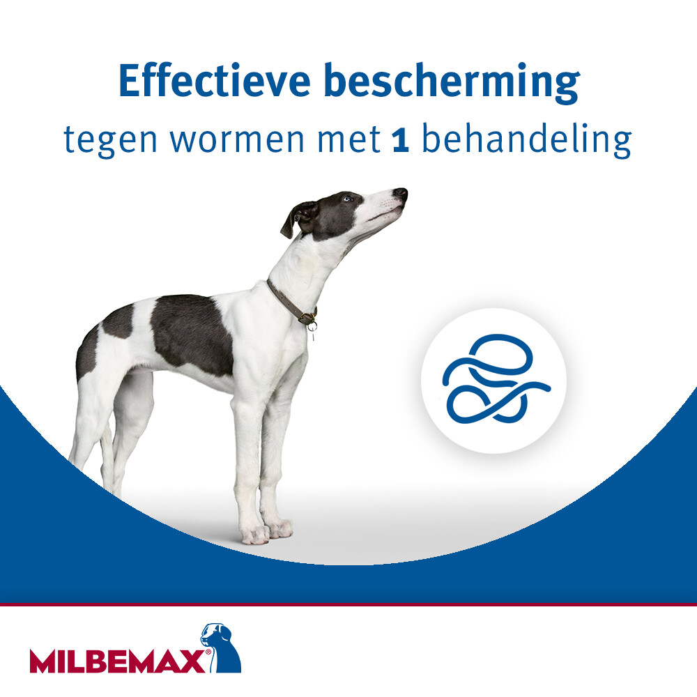 Milbemax Ontworming Tabletten Hond 5 - 75 kg2 tabletten