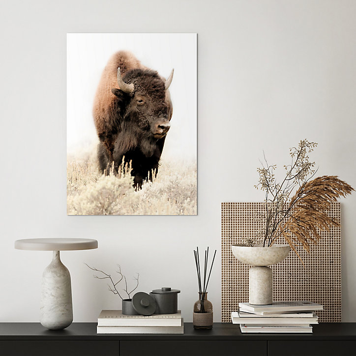 Toile bison marron, naturel Dada Art l.50 x H.70 cm