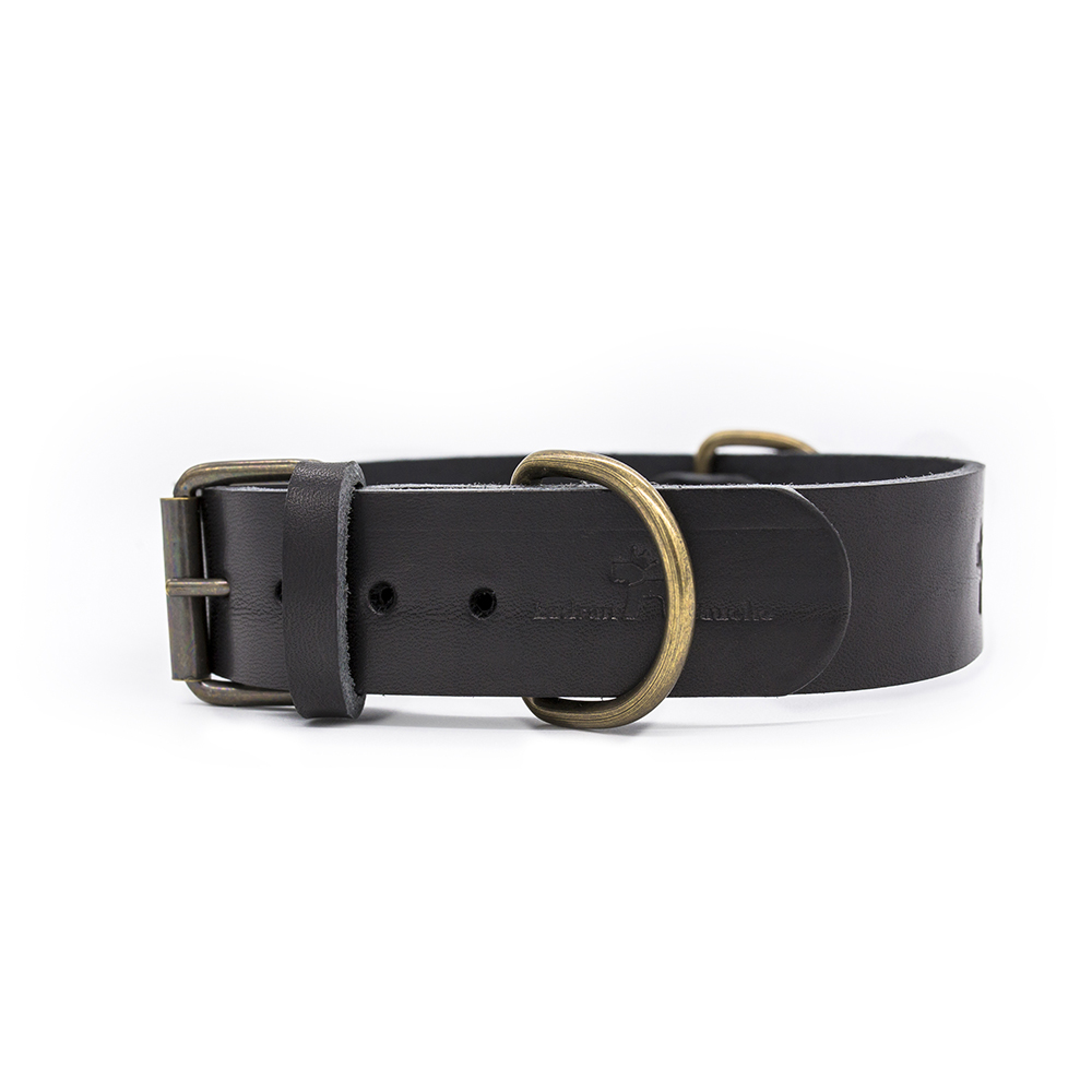 Coleira Bark Gaucho Premium em Couro Preto para Cães