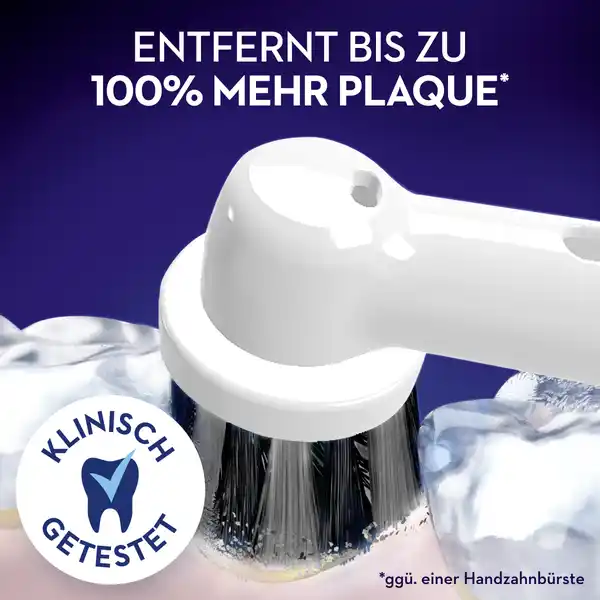 Aufsteckbürsten Pure Clean