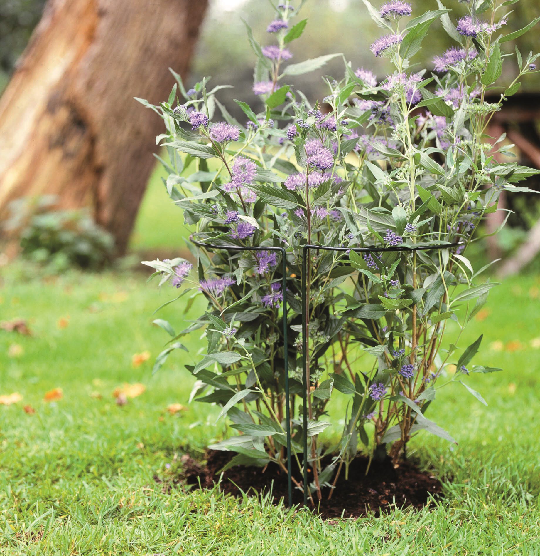 Nature Plantensteun - Klim- en Geleide Artikelen - 60x0x60 cm