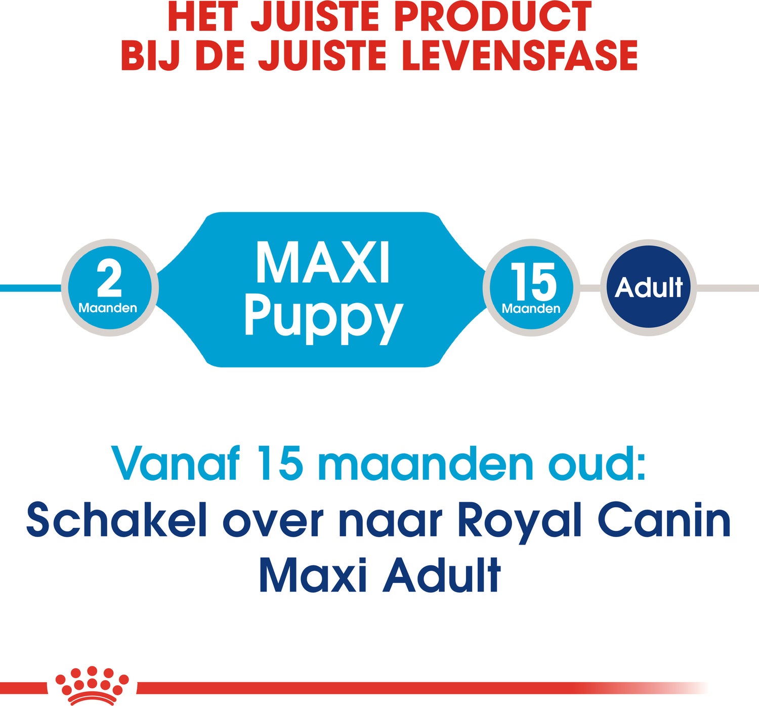 Royal Canin hondenvoer Maxi puppy 15 kg