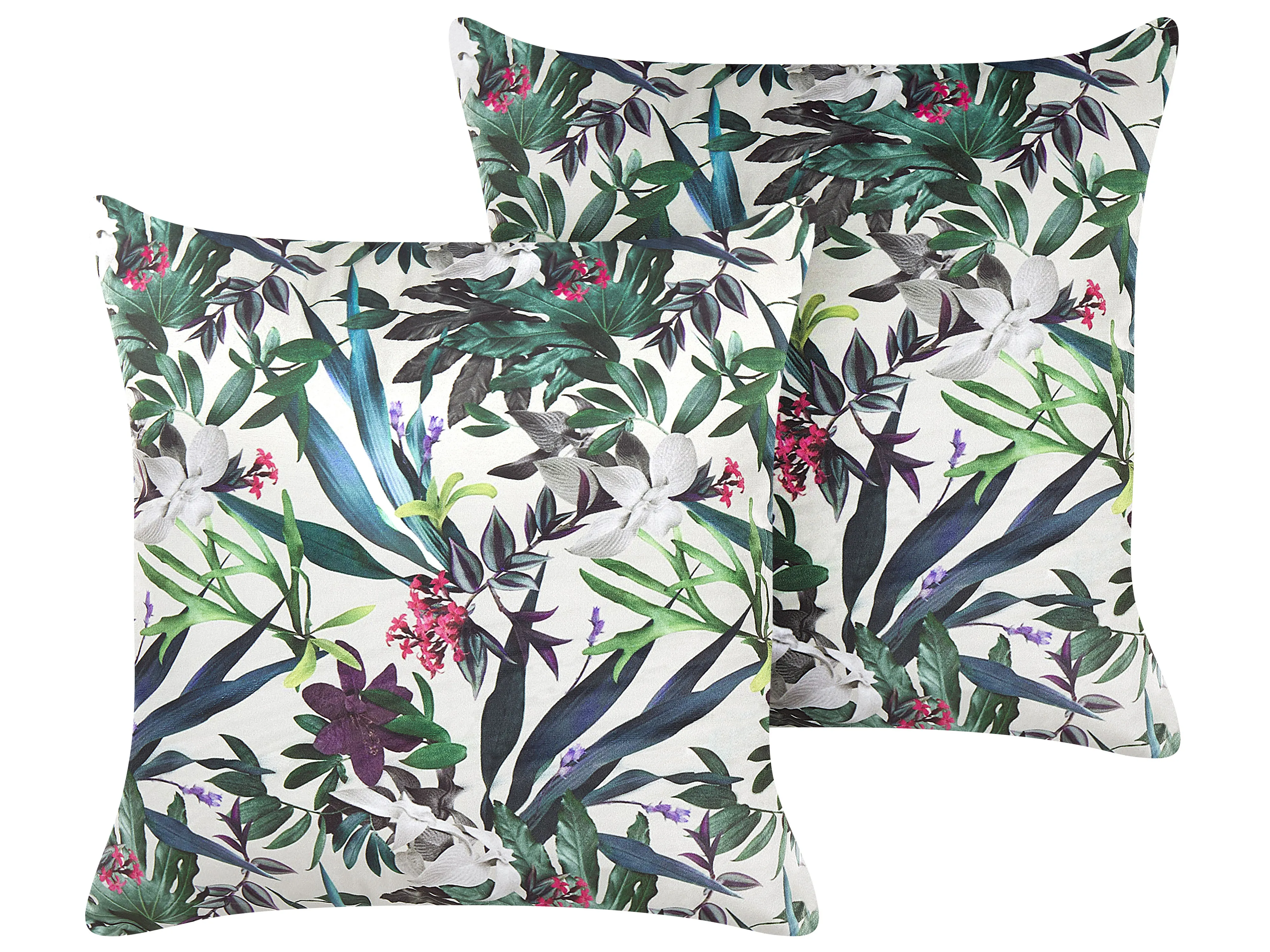 Set van 2 sierkussens GASTERIA Fluweel 45 x 45 cm Groen bladpatroon