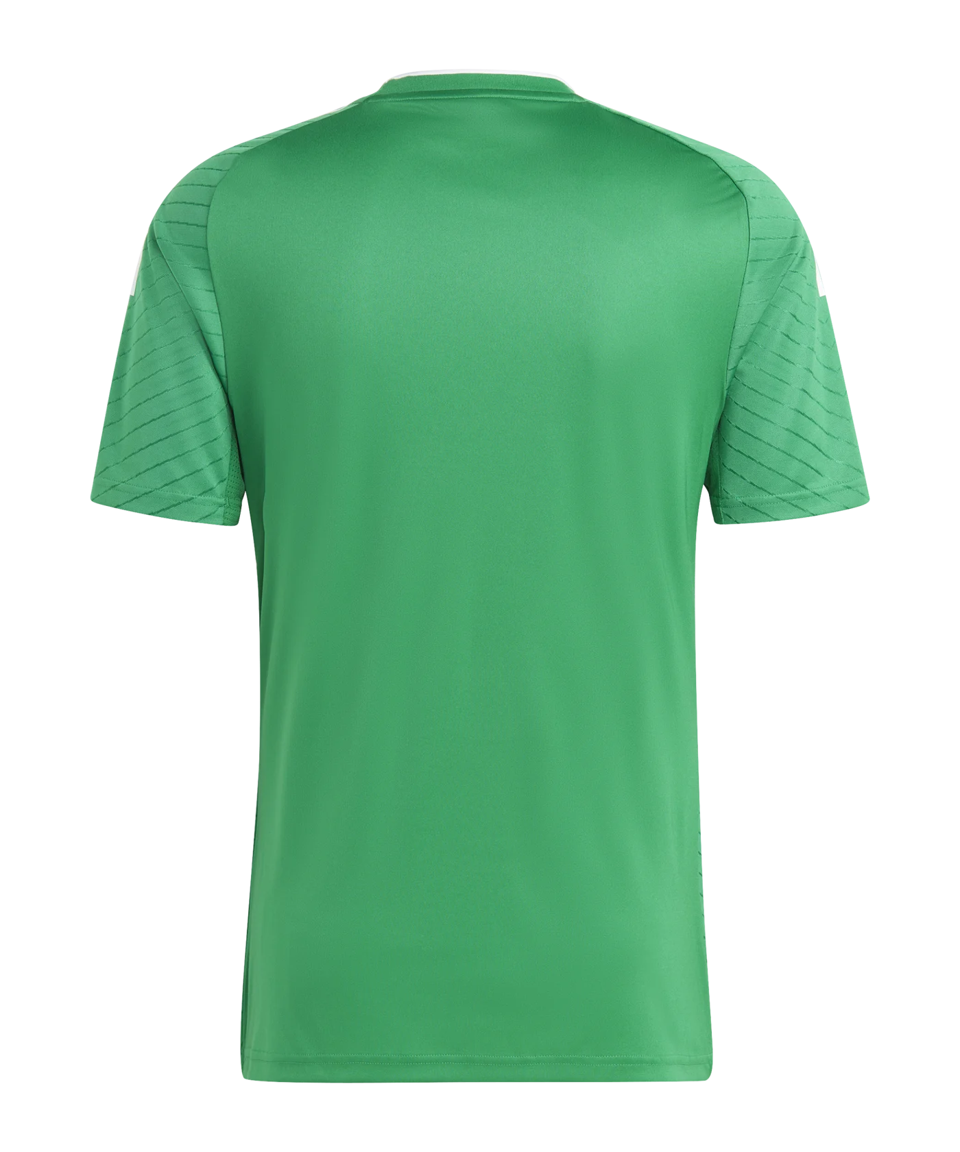 adidas Campeon 23 Trikot Grün