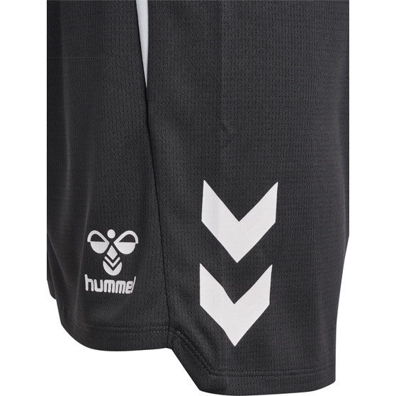 Hummel Lead 2.0 Shorts Heren